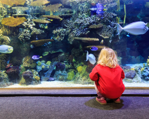 media.Slide-Parchi-05-Hotel-York