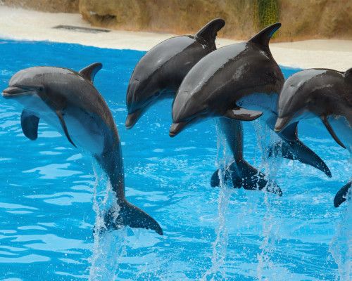 media.Slide-Parchi-06-Hotel-York